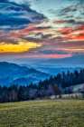 Slovenia-Poljane Sora Valley-hillside near Gorenja Vas in early morning light Art Print
